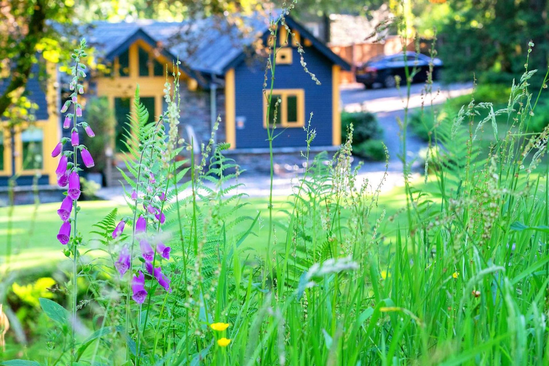 Carr Crag Pavilion Little Langdale Екстериор снимка